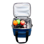 Adventure Large Insulated Cooler Bag in Navy - JWorldstore