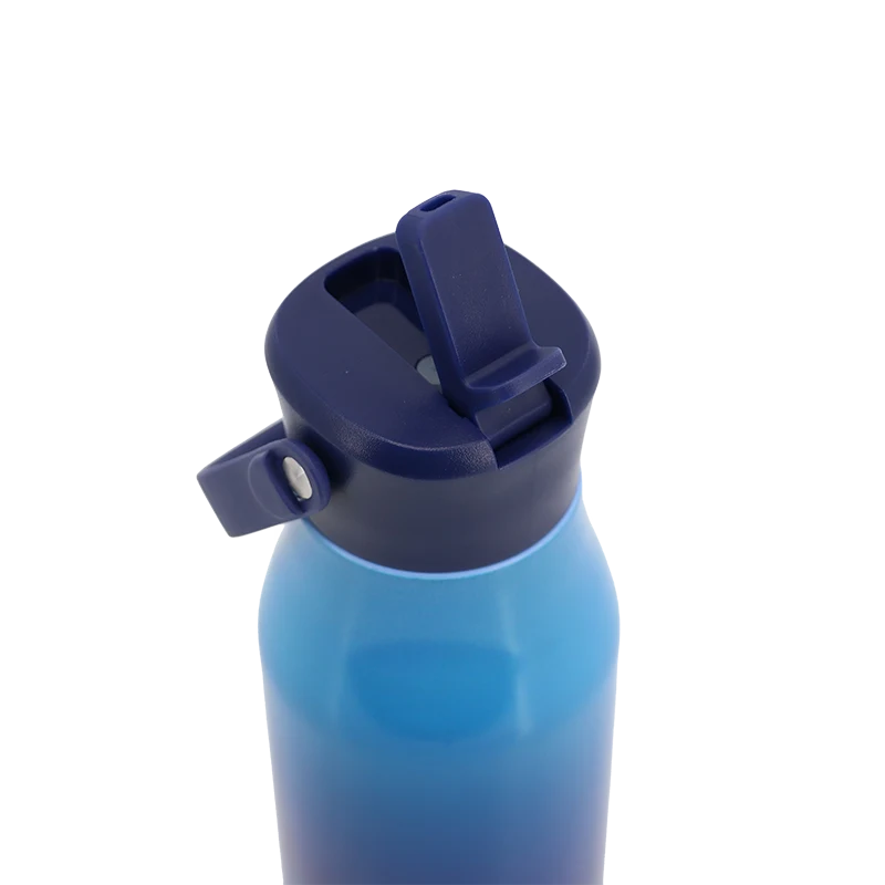 Flowee 22oz Insulated Water Bottle in Blue Gradient - JWorldstore